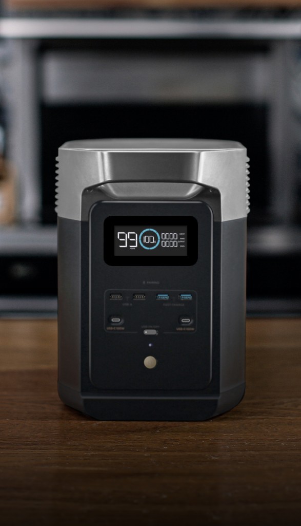 EcoFlow DELTA 2